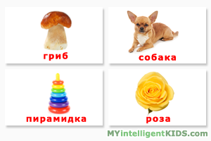 Раннее развитие по методике Глена Домана
